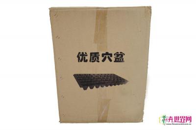 穴盘72孔